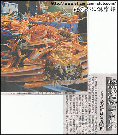 2011年11月7日 日刊 県民福井「越前がに 待ってました」