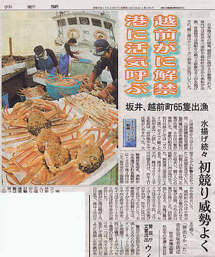 2010年11月7日 福井新聞「越前がに解禁 港に活気呼ぶ」